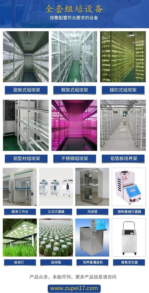 組培實(shí)驗(yàn)室規(guī)劃與預(yù)算 貴州設(shè)計圖與云南設(shè)備清單解析