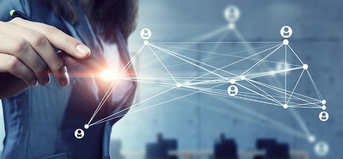 法國(guó)維萊爾國(guó)際商學(xué)院MBA報(bào)考條件為何限定工作經(jīng)驗(yàn)，及網(wǎng)絡(luò)技術(shù)服務(wù)類(lèi)申請(qǐng)者優(yōu)勢(shì)